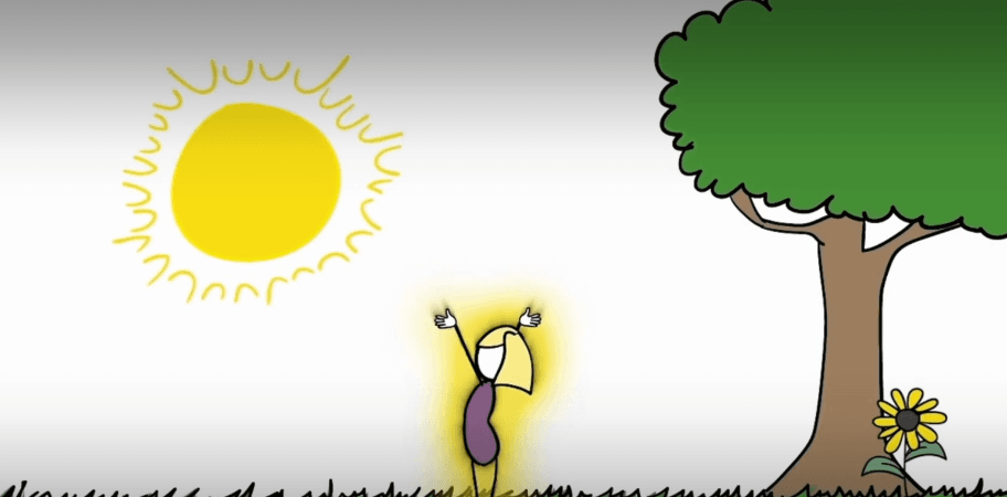 What Is Grounding?